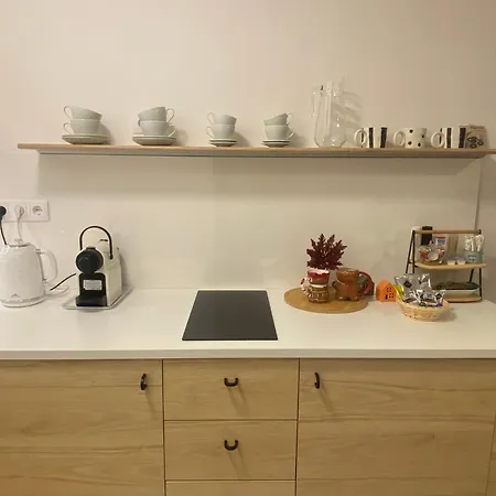 Apartment Zene Vinyl Record Player&projector