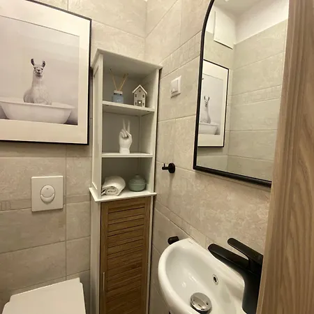 Apartment Zene Vinyl Record Player&projector *