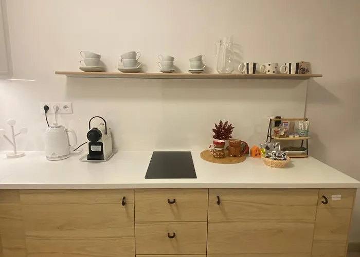 Apartamento Zene Vinyl Record Player & Projector