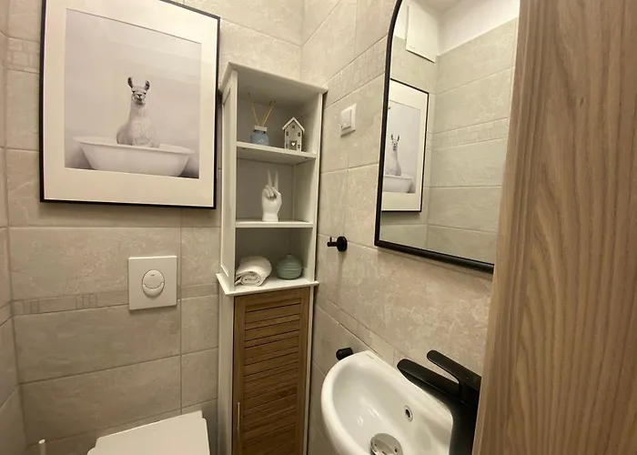 Apartamento Zene Vinyl Record Player & Projector *